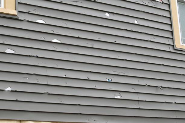 Historical Building Siding Restoration in Mountain Home, ID