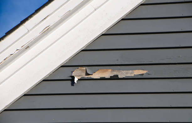 Best Historical Building Siding Restoration  in Mountain Home, ID